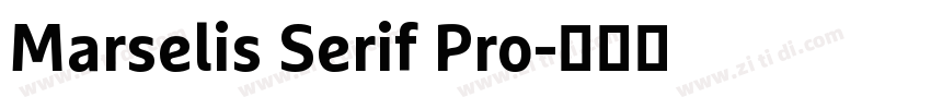 Marselis Serif Pro字体转换